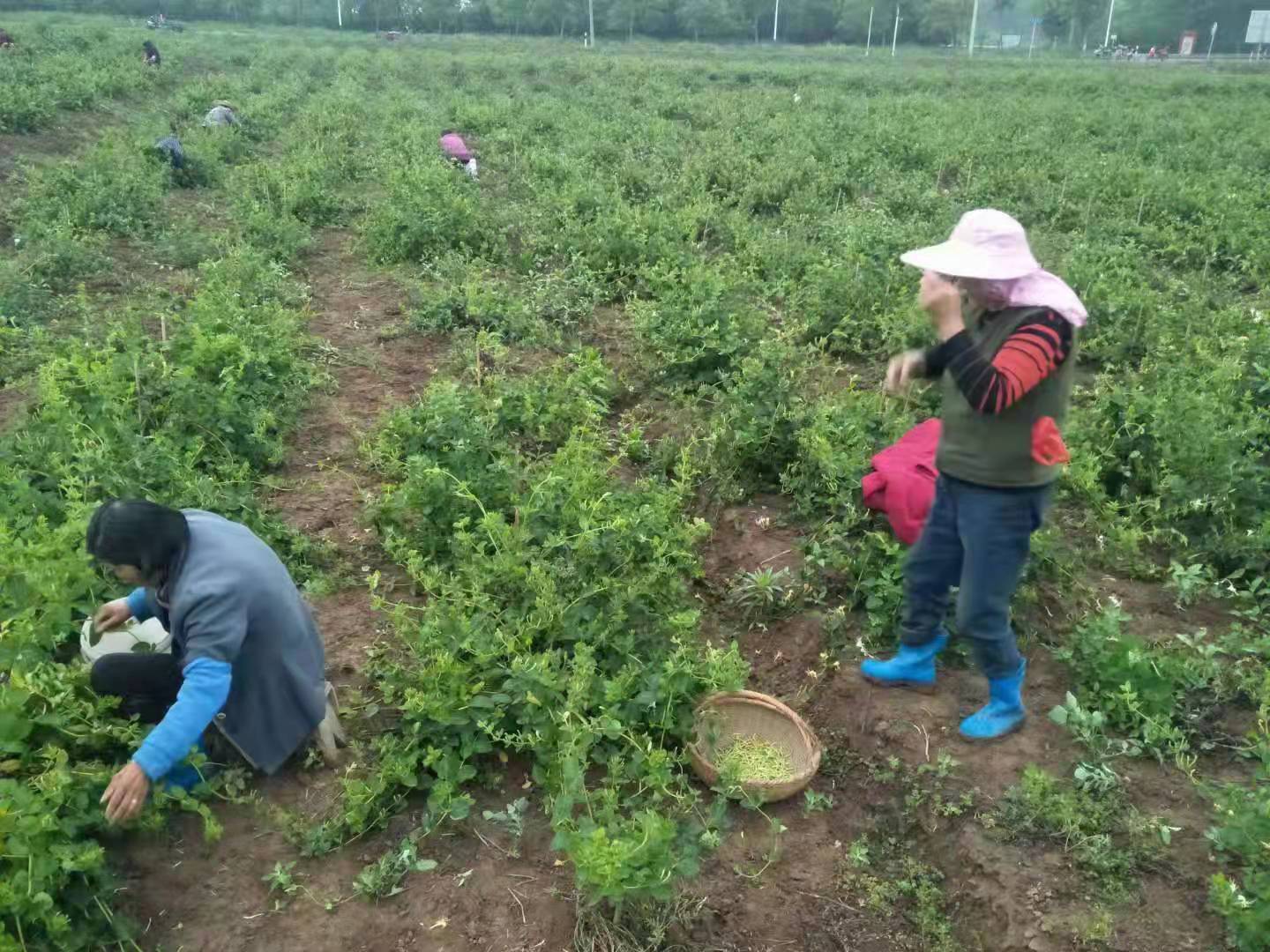 0aecaf889689a20e9bb5db62175b107.jpg 0aecaf889689a20e9bb5db62175b107.jpg